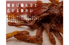 次世代植物性ジャーキーver.2.0の開発をスタート。ドバイや万博プレイベントでの知見を活かし、更なる改良へ