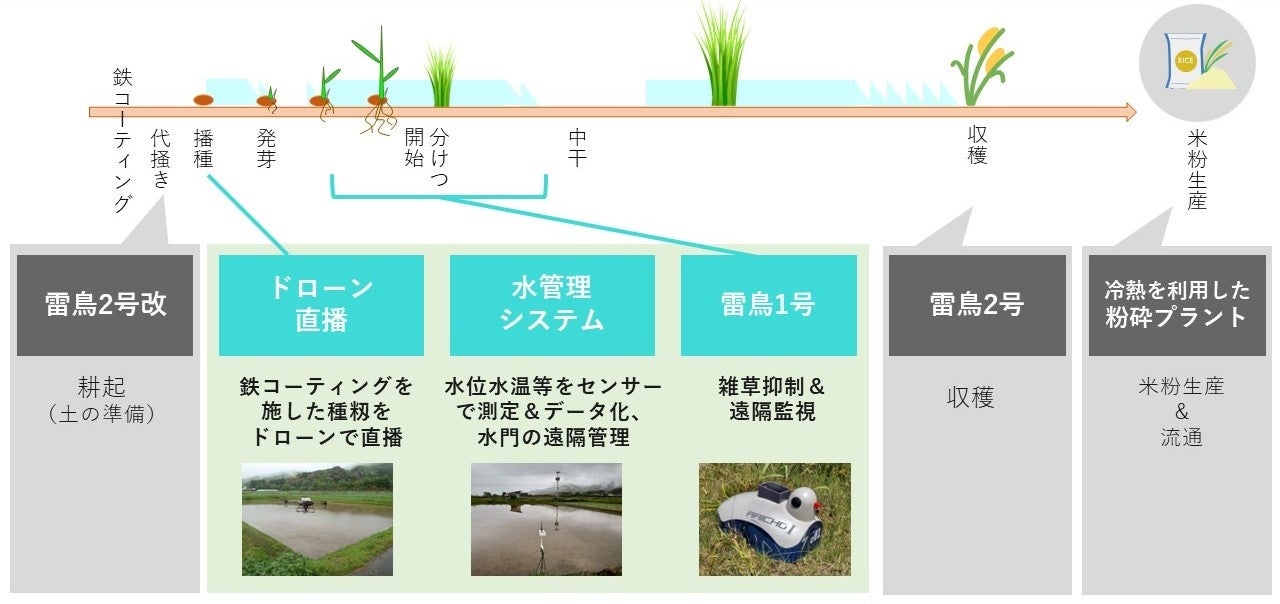 群れで働く雑草抑制＆遠隔監視ロボット『雷鳥1号』を開発、水田に投入