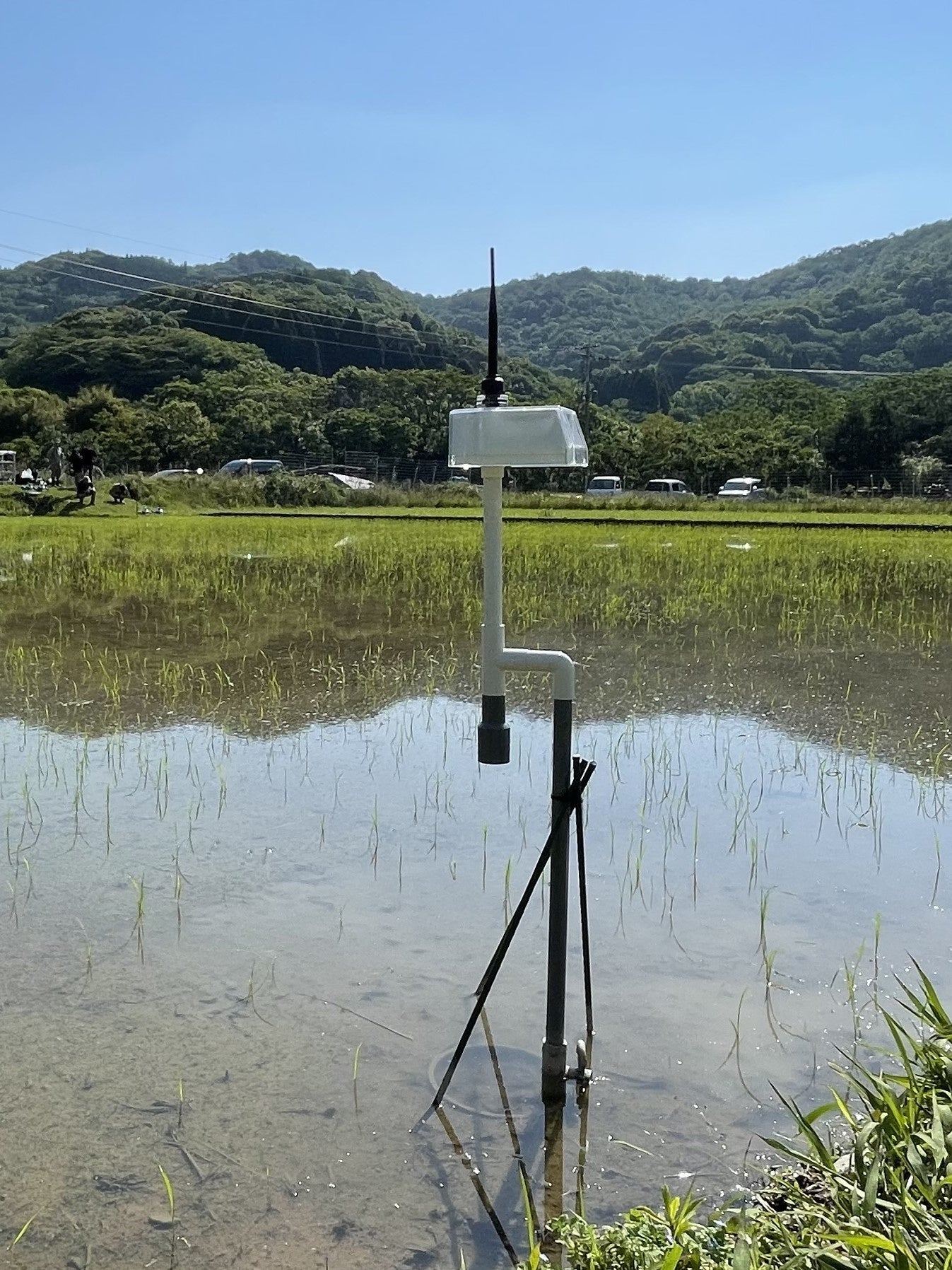 水位水温センサー