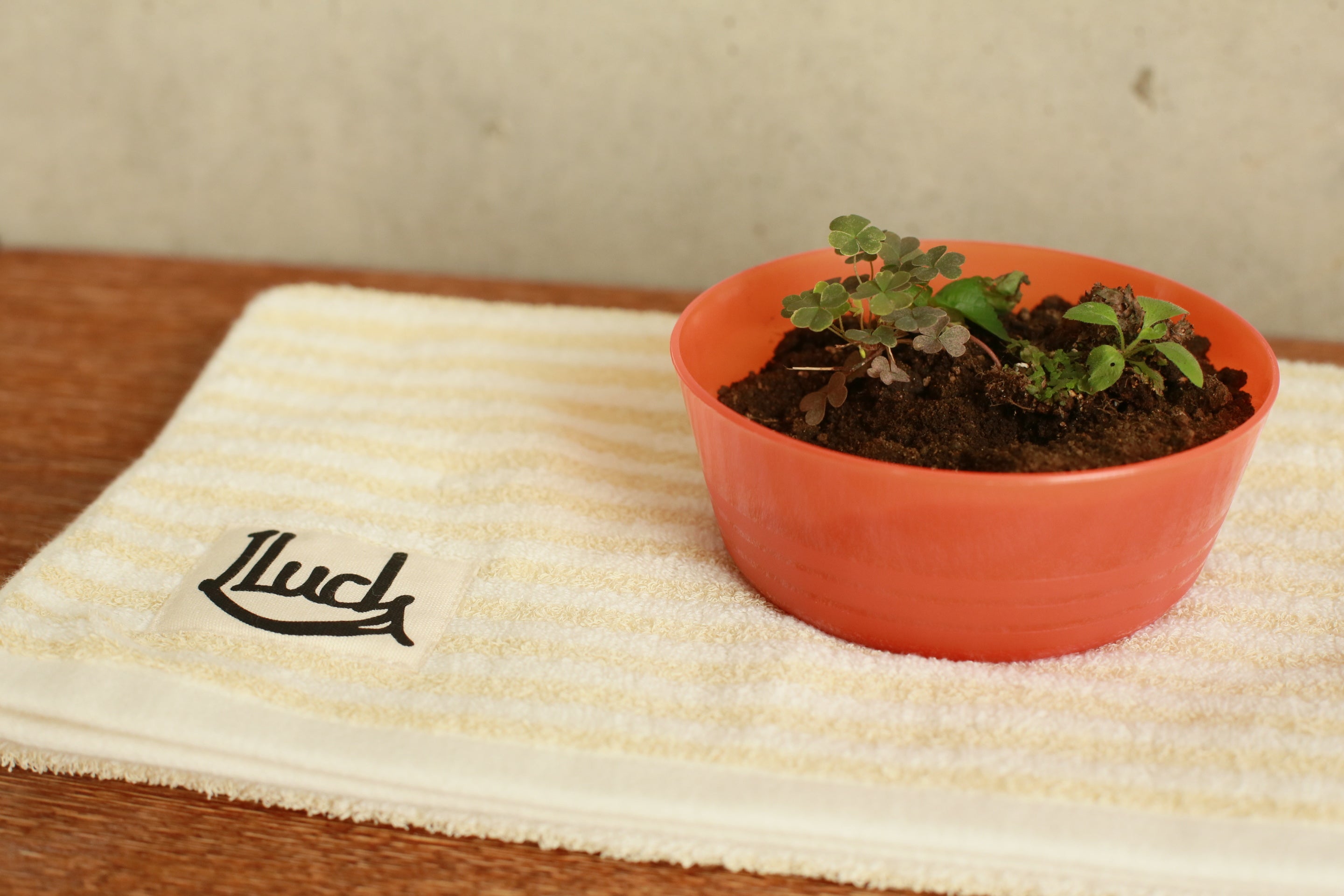 土壌分解速度が早く環境に配慮された和紙素材