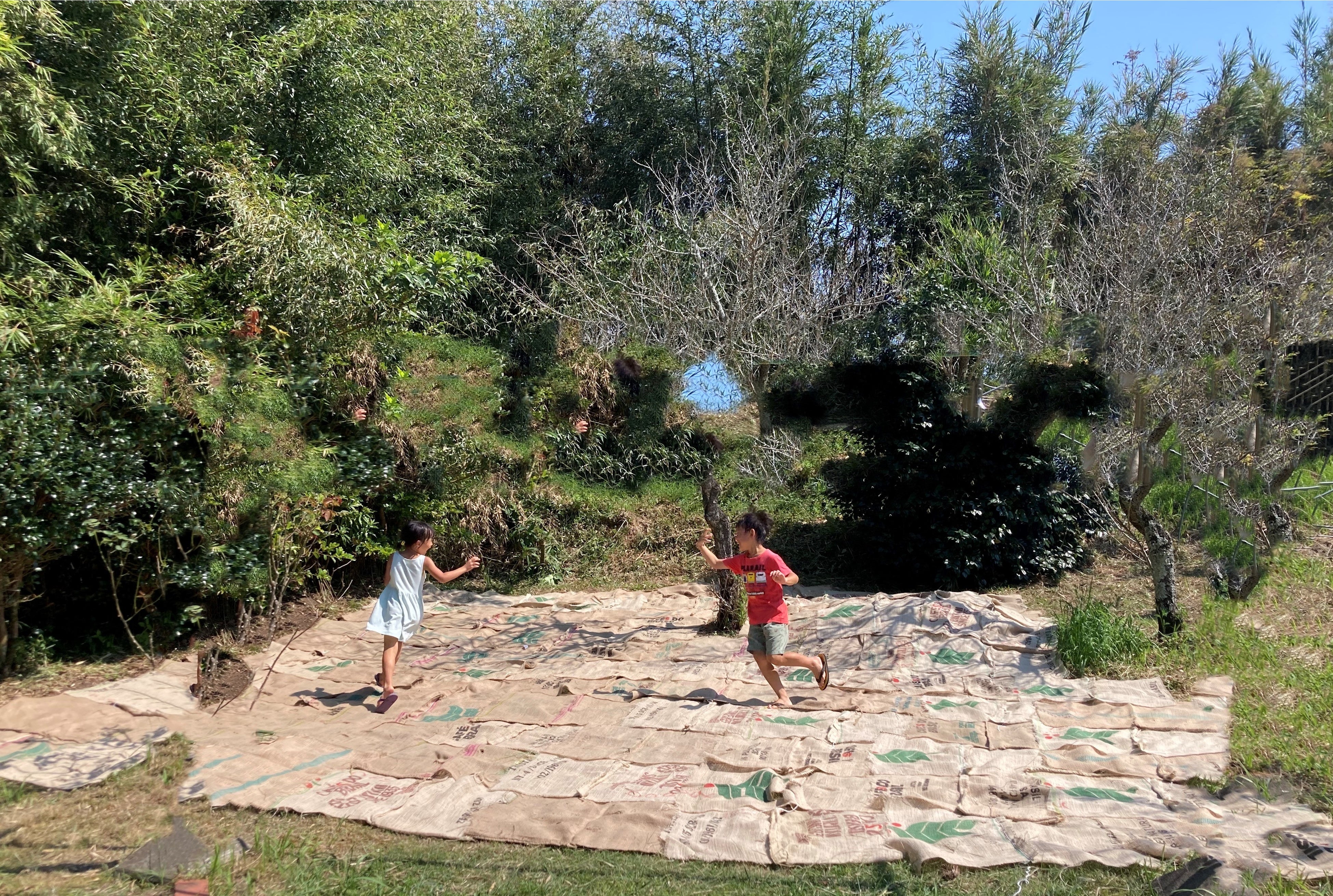 一般家庭の庭先にて雑草の抑制として使用済み麻袋を活用