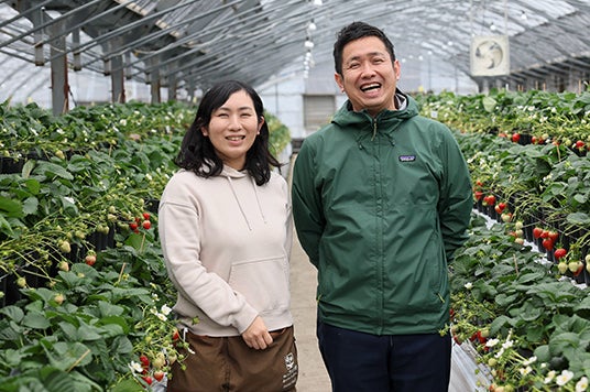 12月24日(火)11時より新品種いちご「恋みのり」と特産のかすみ草を 12月24日(火)11時より新品種いちご「恋みのり」と特産のかすみ草を