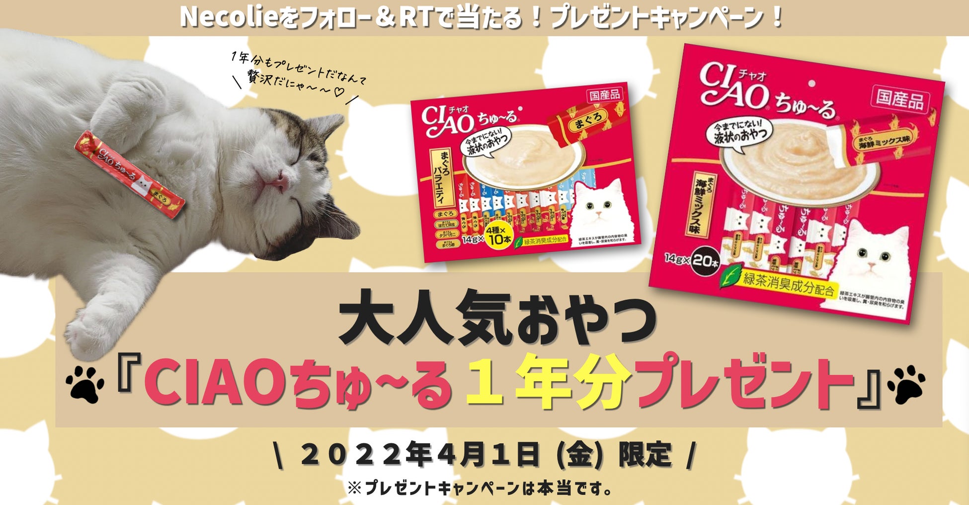 日本初 ネコのネイル予約アプリ ネコリー が誕生 100万dl突破のネイル予約アプリ ネイリー がリニューアル 株式会社ネイリーのプレスリリース 日本初 ネコのネイル予約アプリ ネコリー が誕生 100万dl突破のネイル予約アプリ ネイリー がリニューアル 株式会社ネイリーのプレスリリース