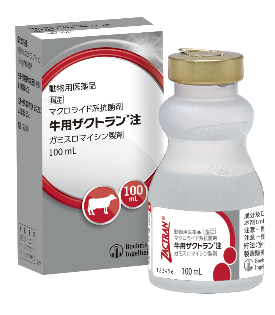 マクロファージさん専用 RGW HXQD556Kタイプ QDダミーサプレッサー セット ショート 14mm逆ネジ