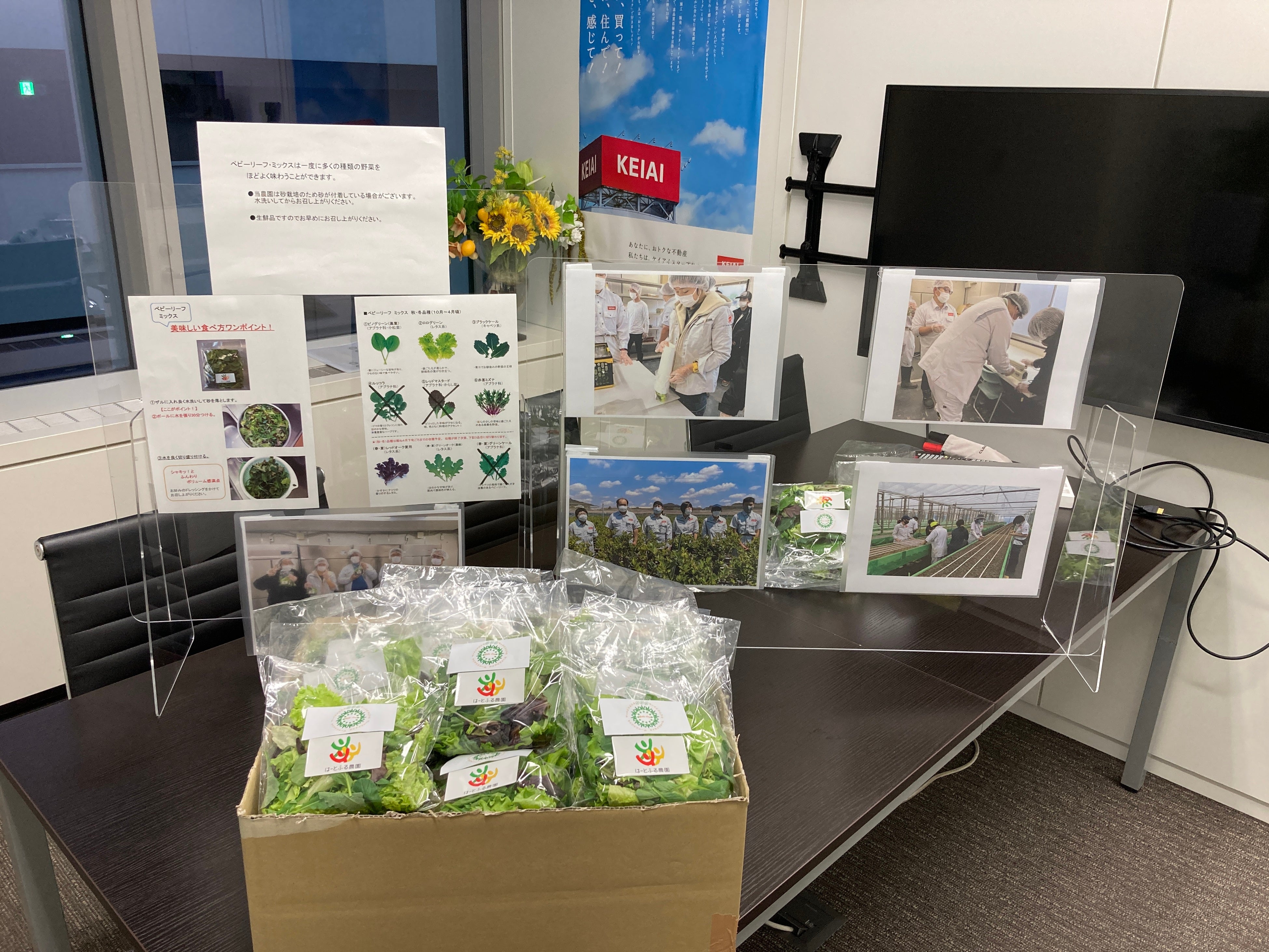 ※ベビーリーフ配布会　特設会場