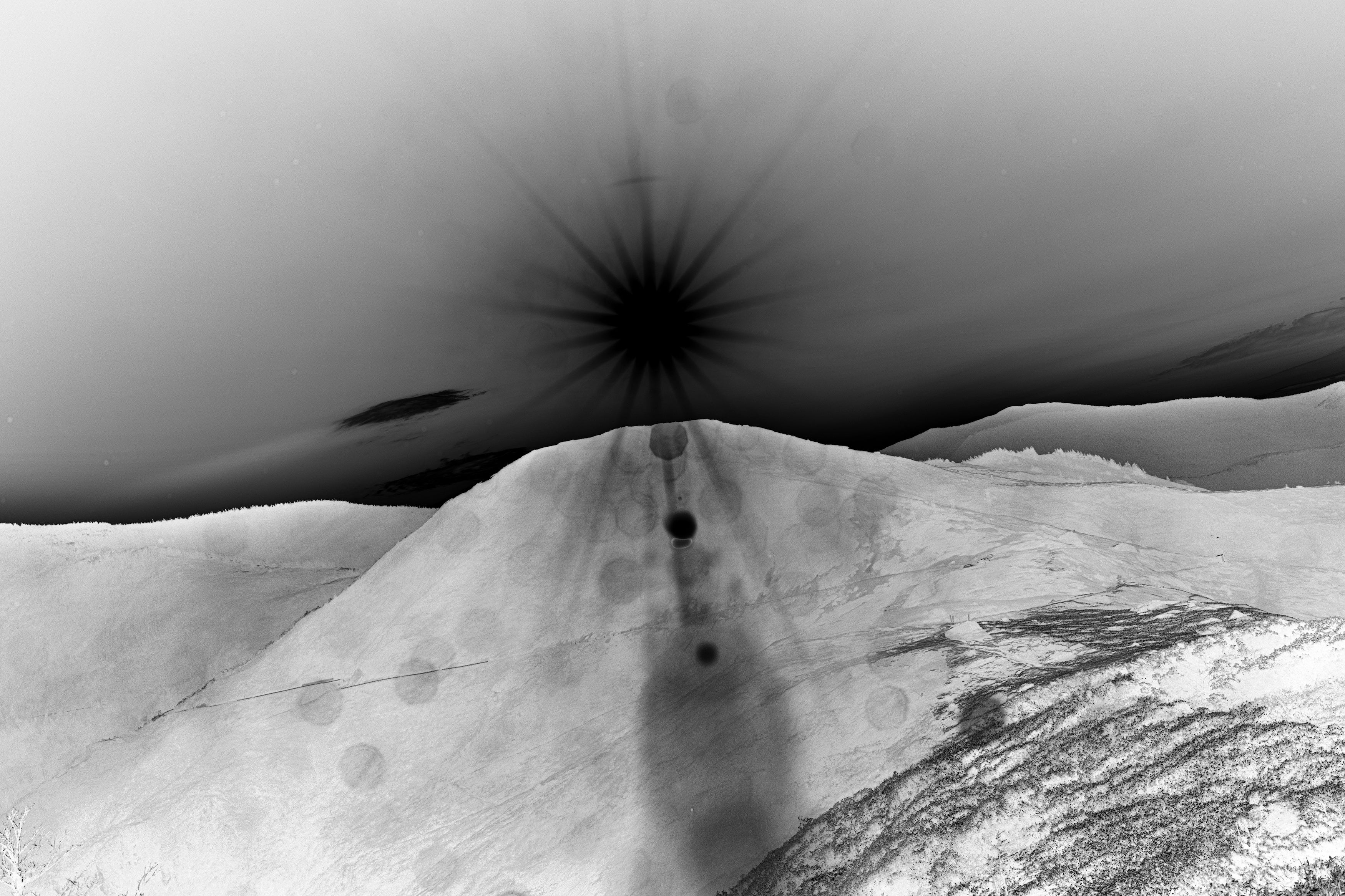 吉田志穂個展「印刷と幽霊」