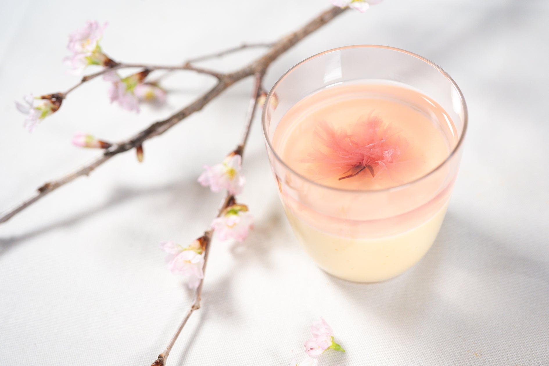 【船橋屋こよみ】が贈る春の風物詩、桜をテーマにした3種の和 ...
