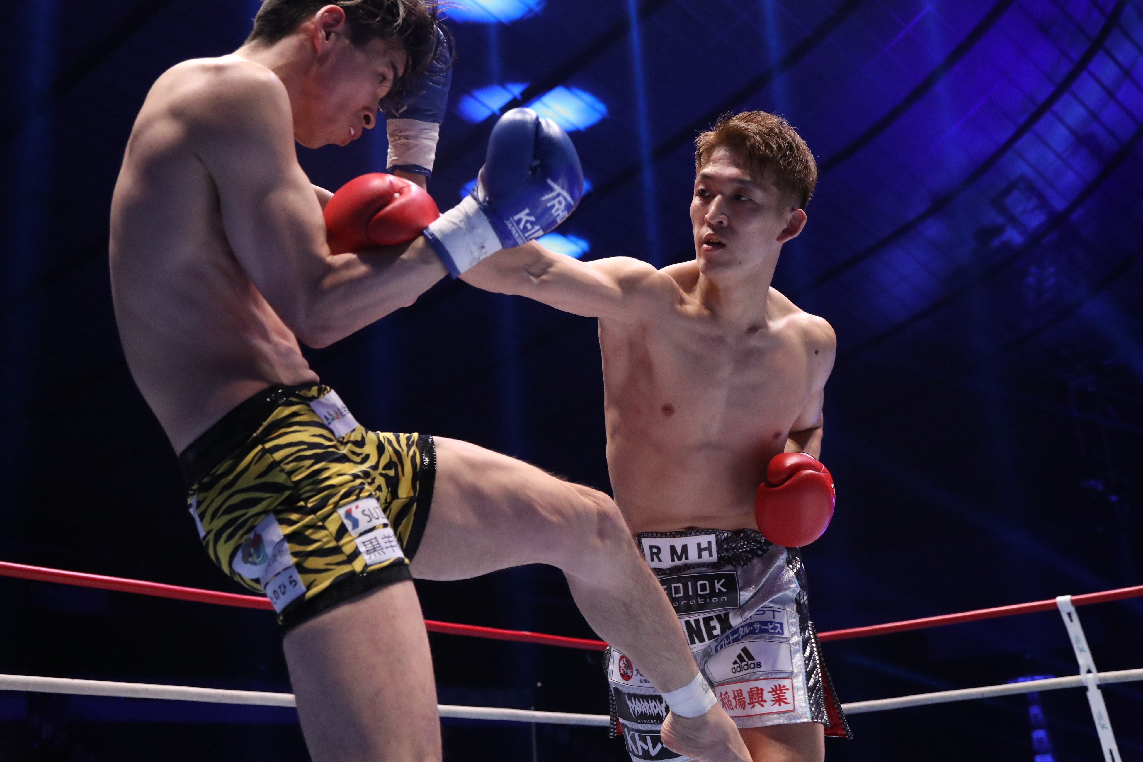 加藤虎於奈VS野杁正明