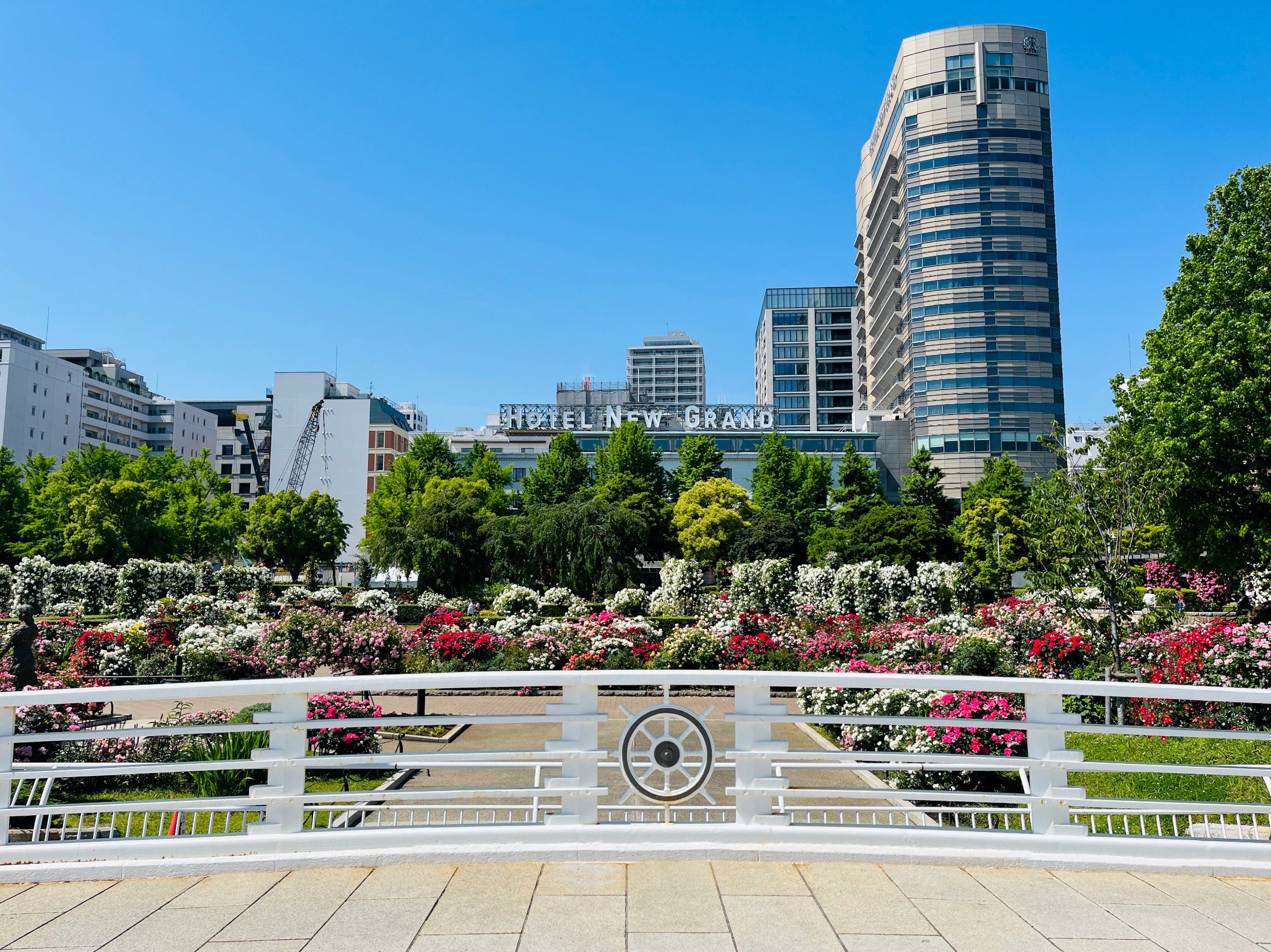 お部屋で優雅なひとときを過ごすことができる「春のケーキセット付き宿泊プラン」