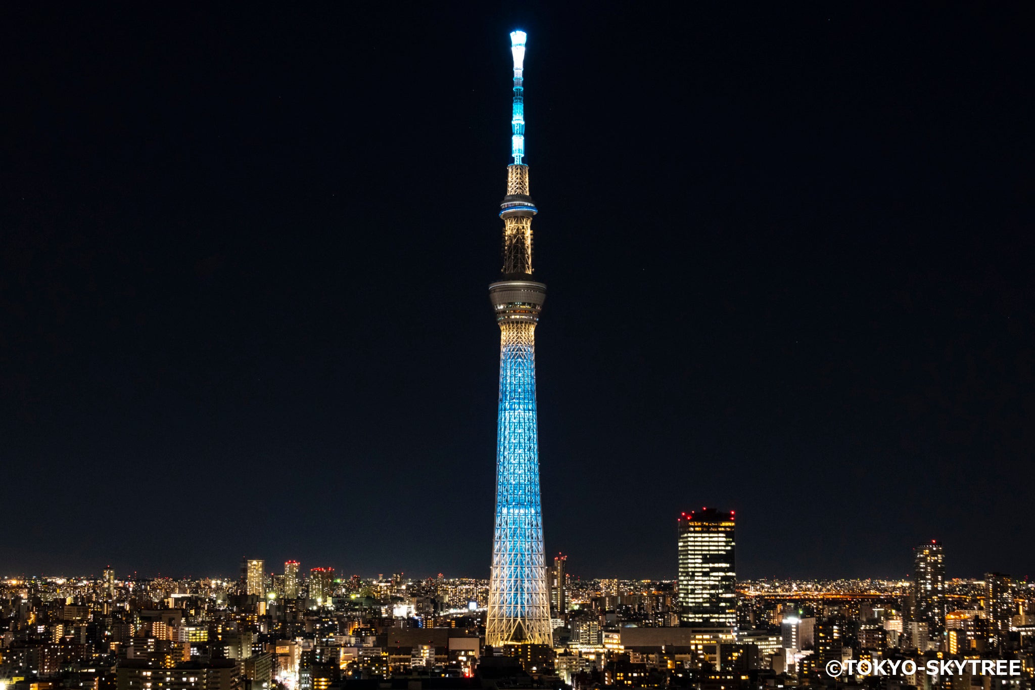 ライティングデザイン「粋」イメージ