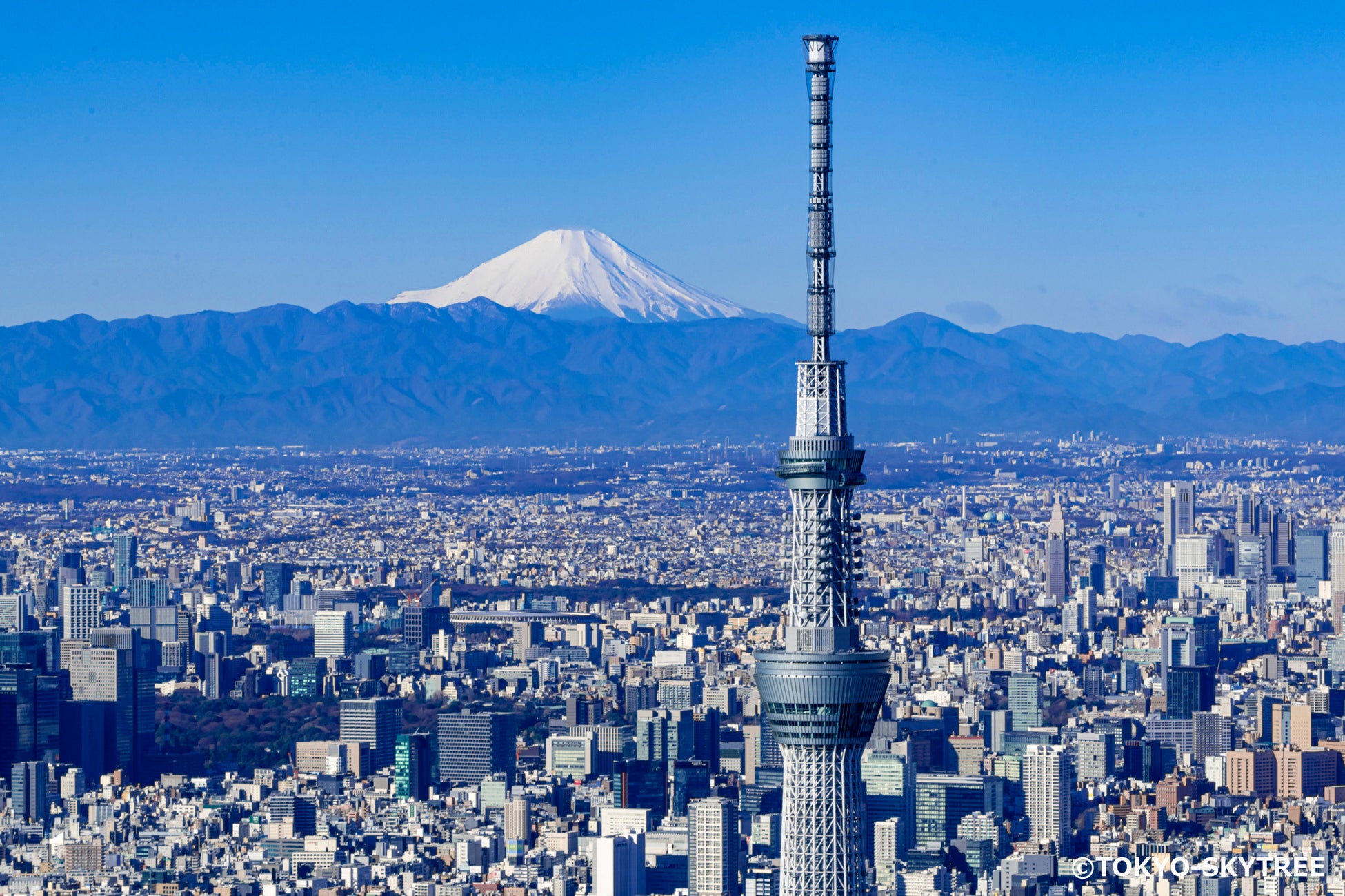ホテルメトロポリタン 丸の内 東京スカイツリー 日時指定入場券引換券付き宿泊プラン Jr東日本ホテルズのプレスリリース ホテルメトロポリタン 丸の内 東京スカイツリー 日時指定入場券引換券付き宿泊プラン Jr東日本ホテルズのプレスリリース