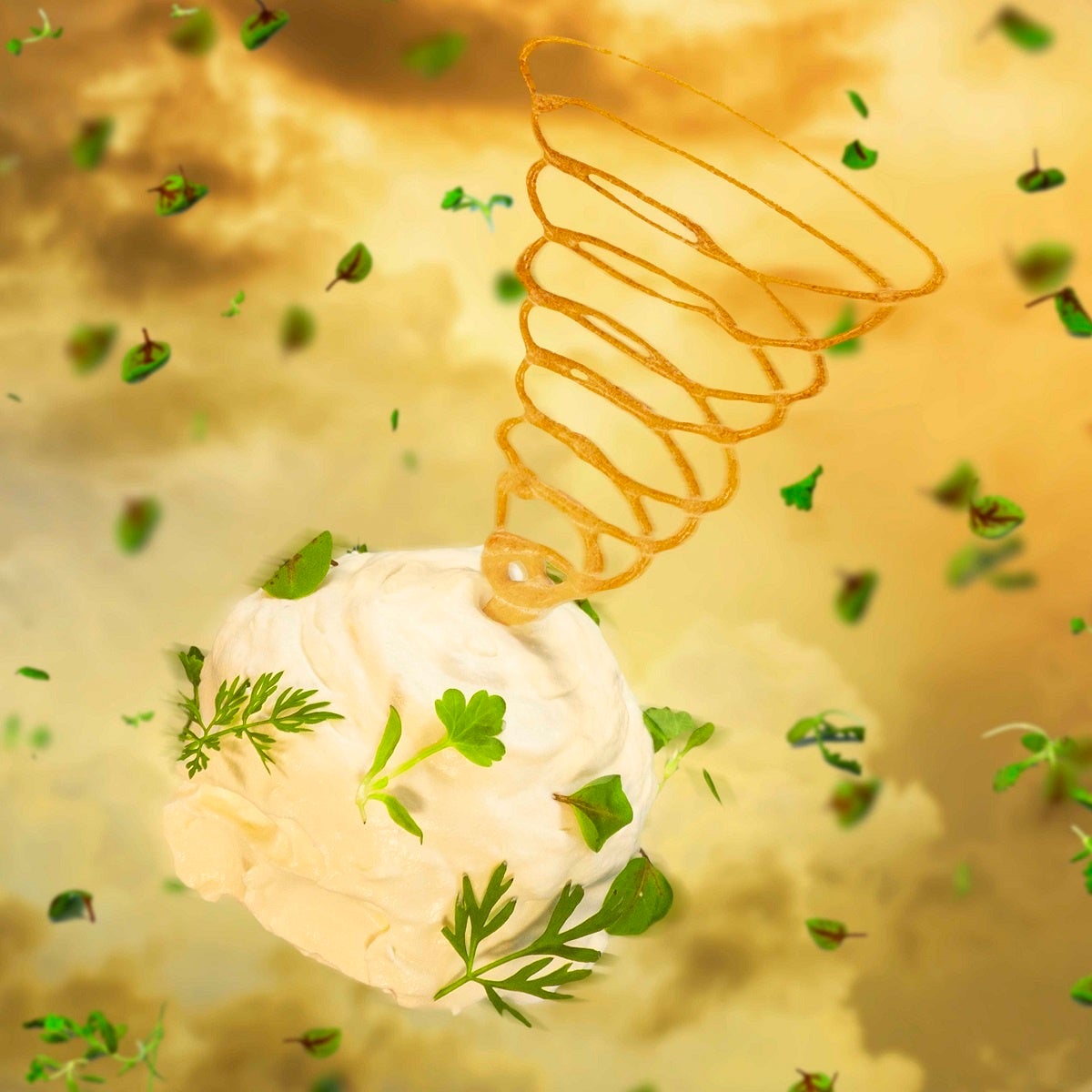 The Cyclone -竜巻-