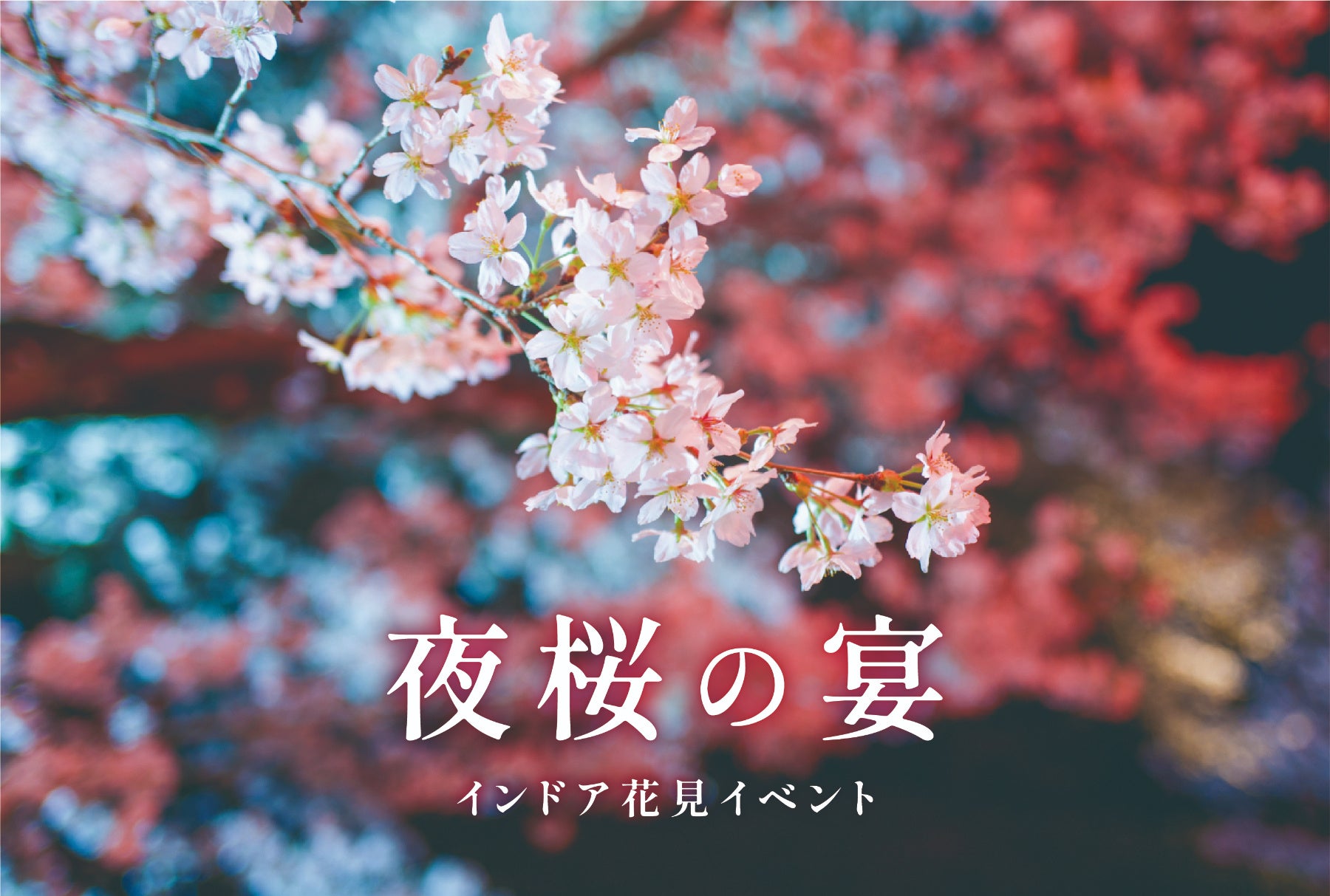 インドア花見イベント「夜桜の宴」