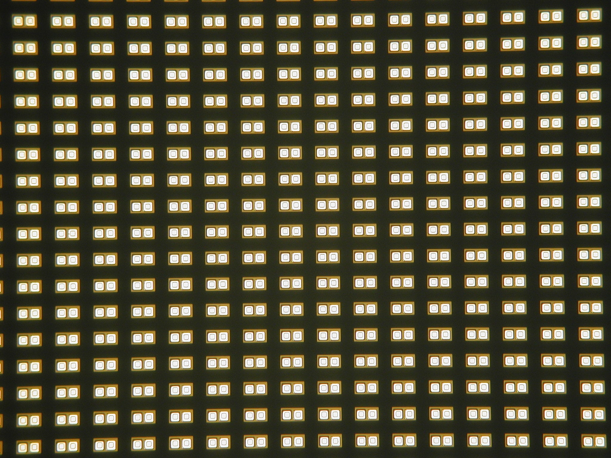 24μｍ×48μｍ赤色マイクロチップ