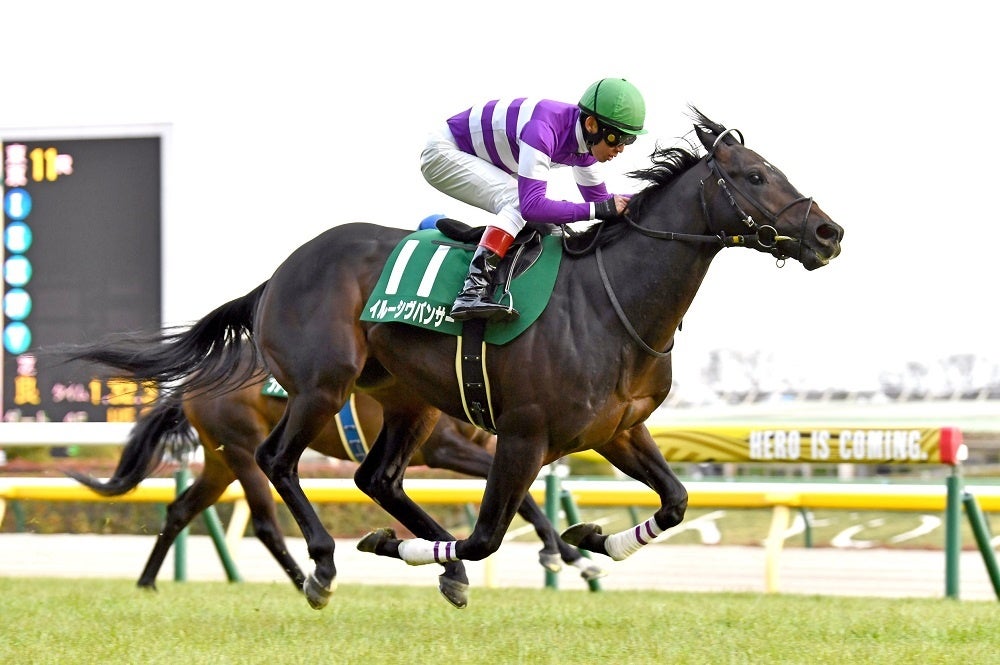 2022年2月6日東京新聞杯（GⅢ）優勝馬、久保田厩舎のイルーシヴパンサー号。鞍上は田辺裕信騎手。馬主は草間庸文氏。