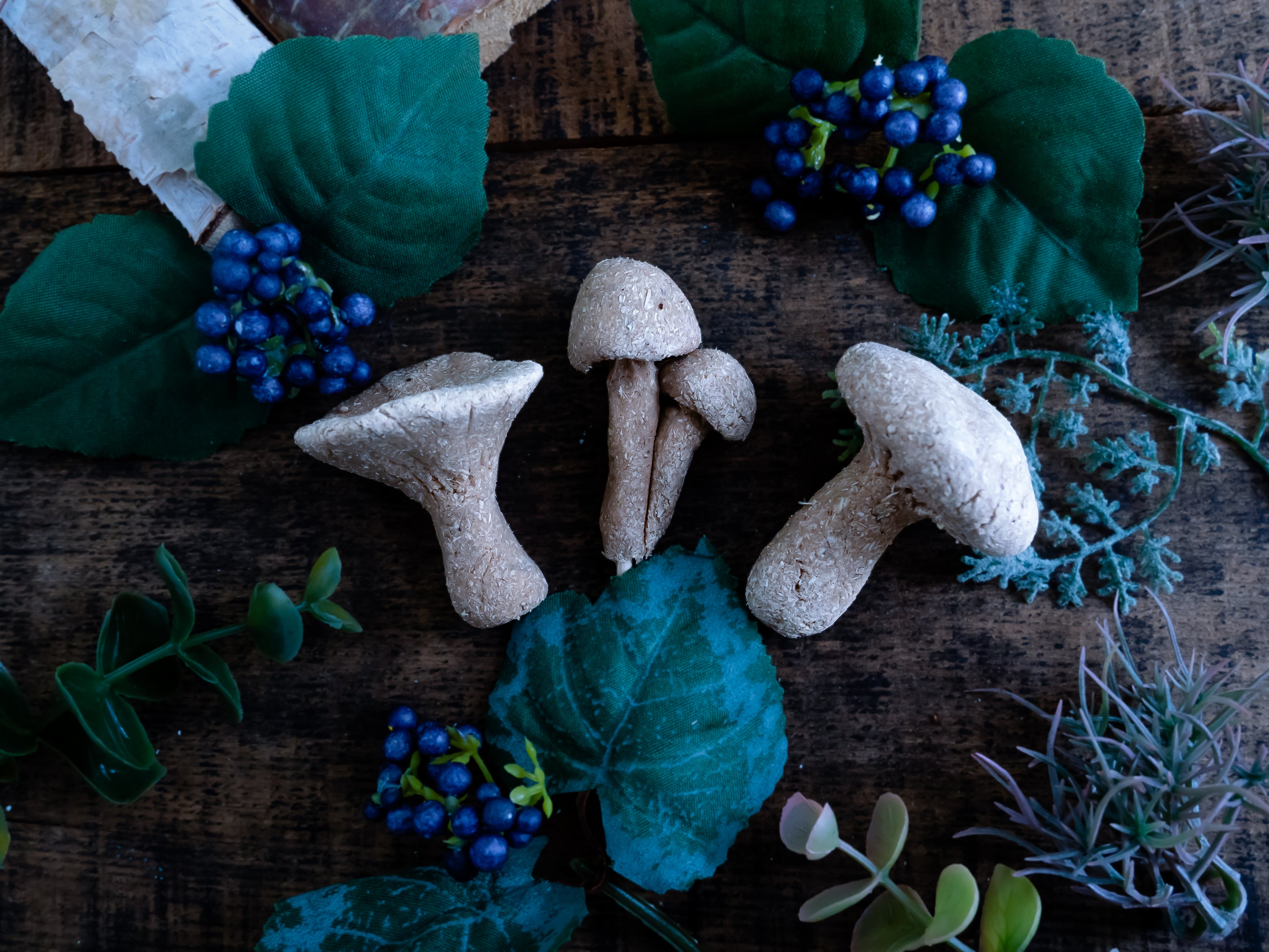 NanaAkua 「くさびらたちの森」