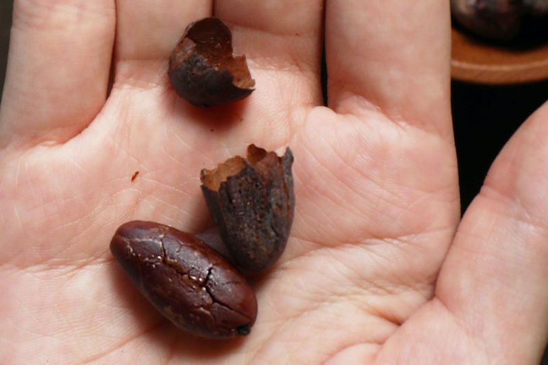 カカオ豆(下)と、カカオハスク(上)