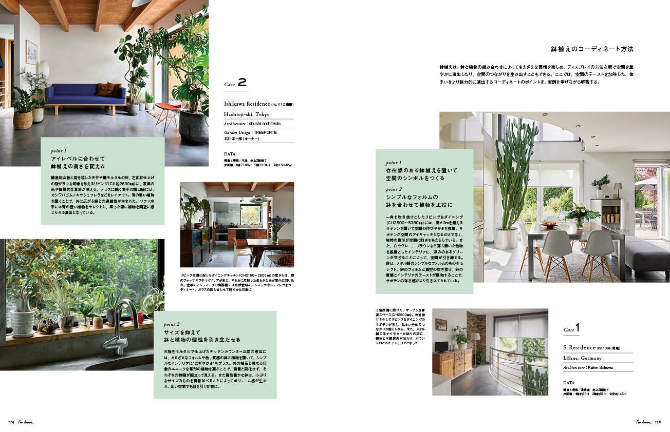 ライフスタイルと空間に合った、鉢植えの取り入れ方