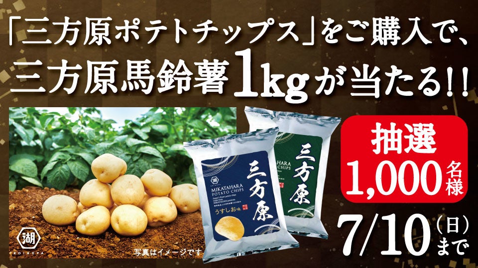 激安！　早い者勝ち　じゃがいも　41 静岡県産 JAとぴあ浜松 三方原馬鈴薯（男爵） Mサイズ 10キロ
