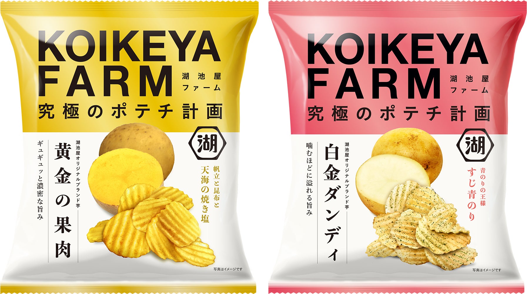 “湖池屋オリジナルブランド芋でつくるポテトチップス”ついに定番化!「KOIKEYA FARM 黄金の果肉 天海の焼き塩/白金ダンディ すじ青のり」 - プロモーションには相葉雅紀さんの起用が決定! -