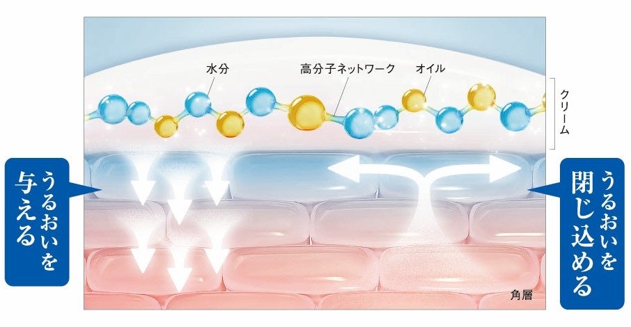眠っている時間を美しさを育む時間に。“睡眠美容”に着目した「DHC エンリッチ アドバンスド ナイト クリーム」が登場