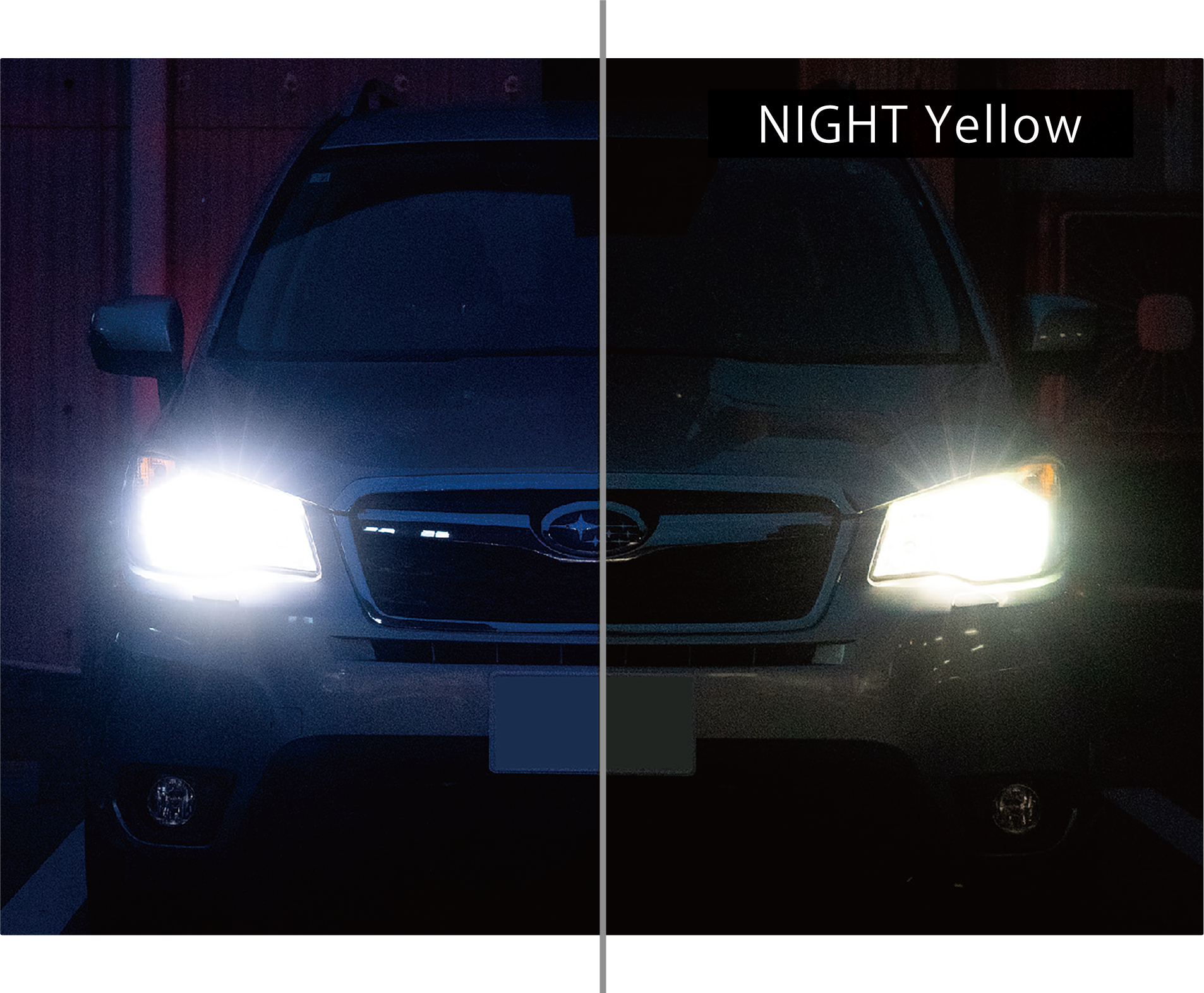 夜さん専用.5 NEW ITEM | ZEXUS公式サイト | ゼクサス