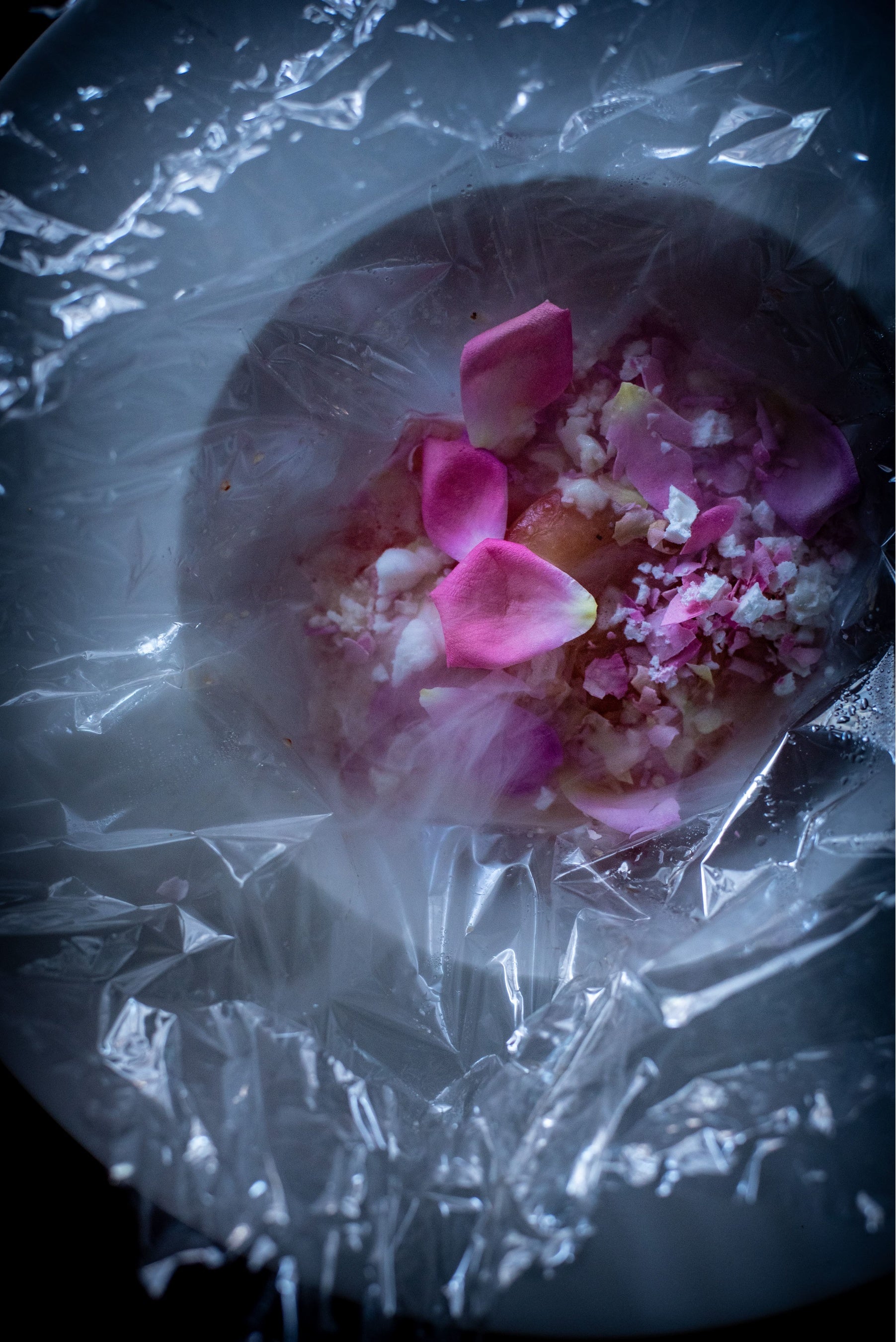 田中 俊大シェフによるイメージカット