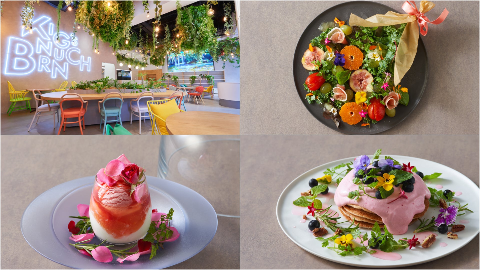 Tbsテレビ 王様のブランチ のリアル店舗 ブランチパーク とエディブルフラワー研究所がコラボレーション 色とりどりの食べられる花を使ったグルメメニューが登場 Dot Science株式会社のプレスリリース