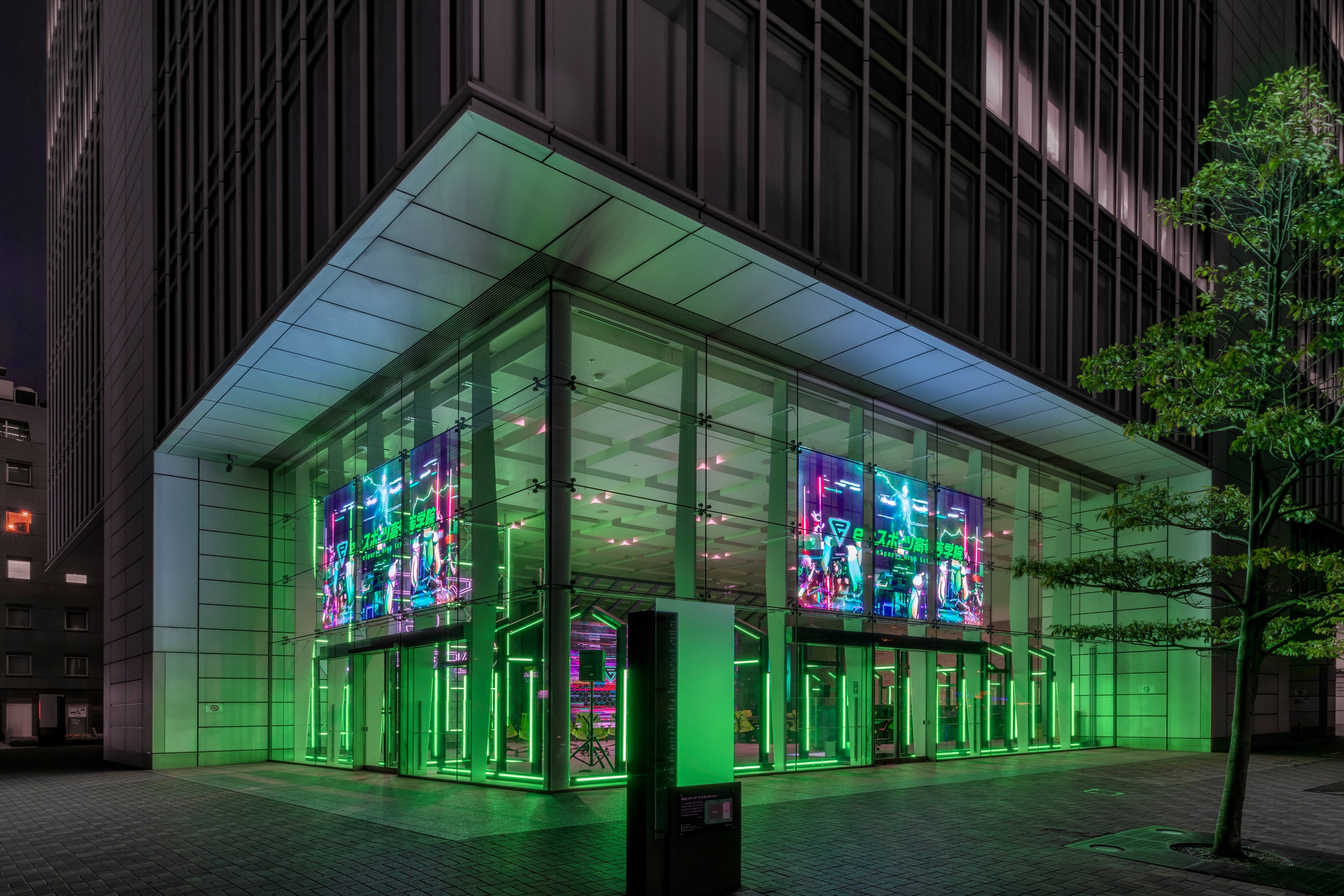 ウィンドウビジョン