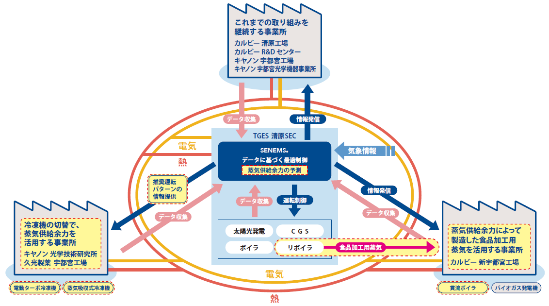本取り組みの全体像
