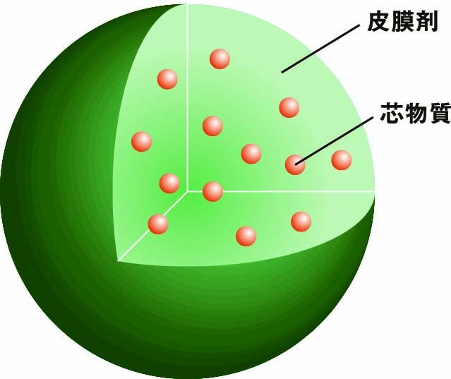 ▲「リケビーズ®」の構造