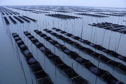 ▲佐賀県有明海のり養殖の風景 (パッケージ裏面を抜粋) ▲佐賀県有明海のり養殖の風景 (パッケージ裏面を抜粋)