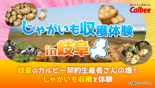 3年連続!岐阜県の契約生産者の畑でファンミ-ティングを開催Calbee『Fan With! Project』~じゃがいも収穫体験 in 岐阜~ 3年連続!岐阜県の契約生産者の畑でファンミ-ティングを開催Calbee『Fan With! Project』~じゃがいも収穫体験 in 岐阜~