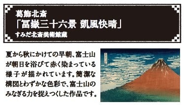 商品の裏面を一部抜粋