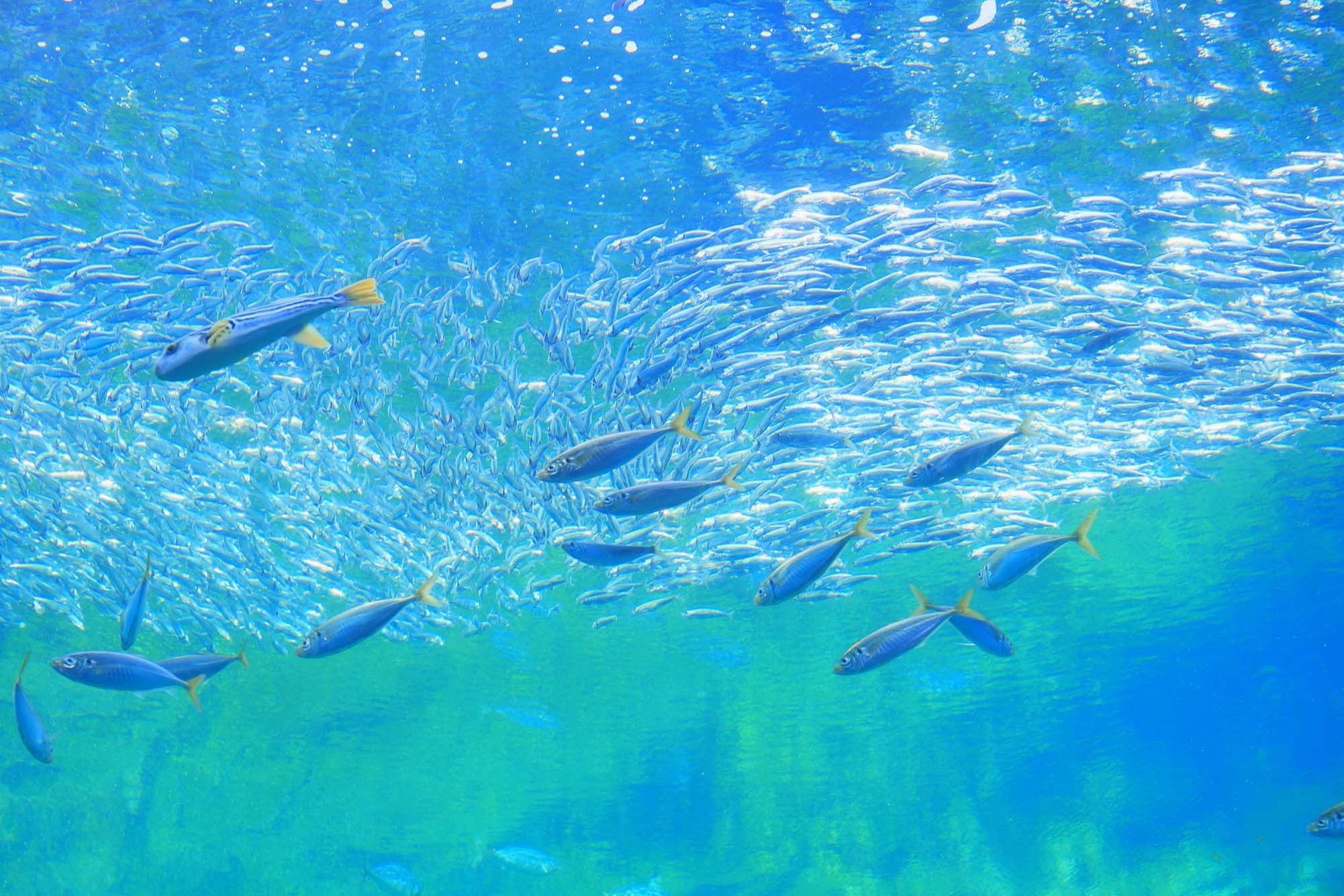 撮影：山本まりこ氏