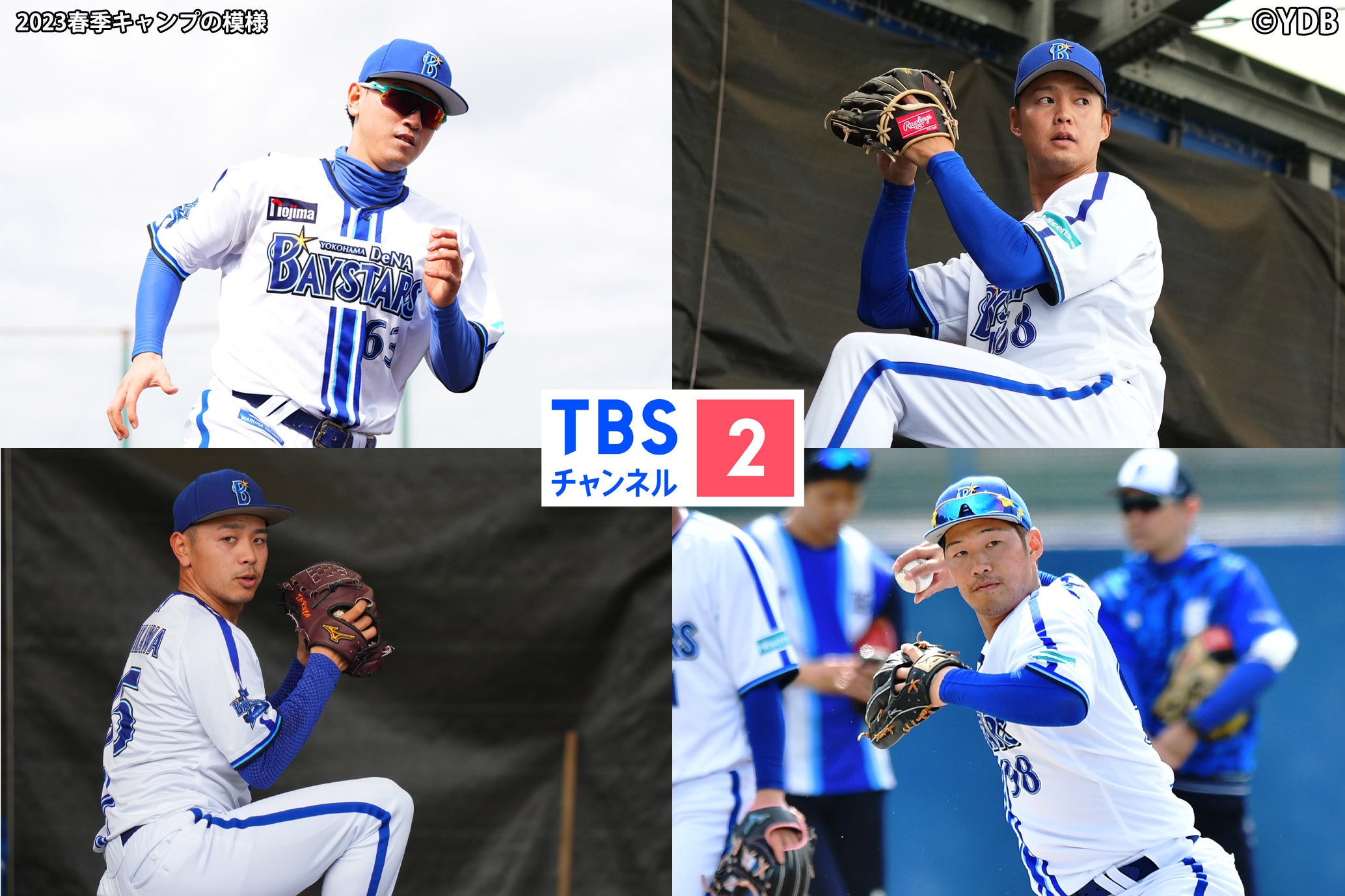 (C)YDB／2023春季キャンプの模様