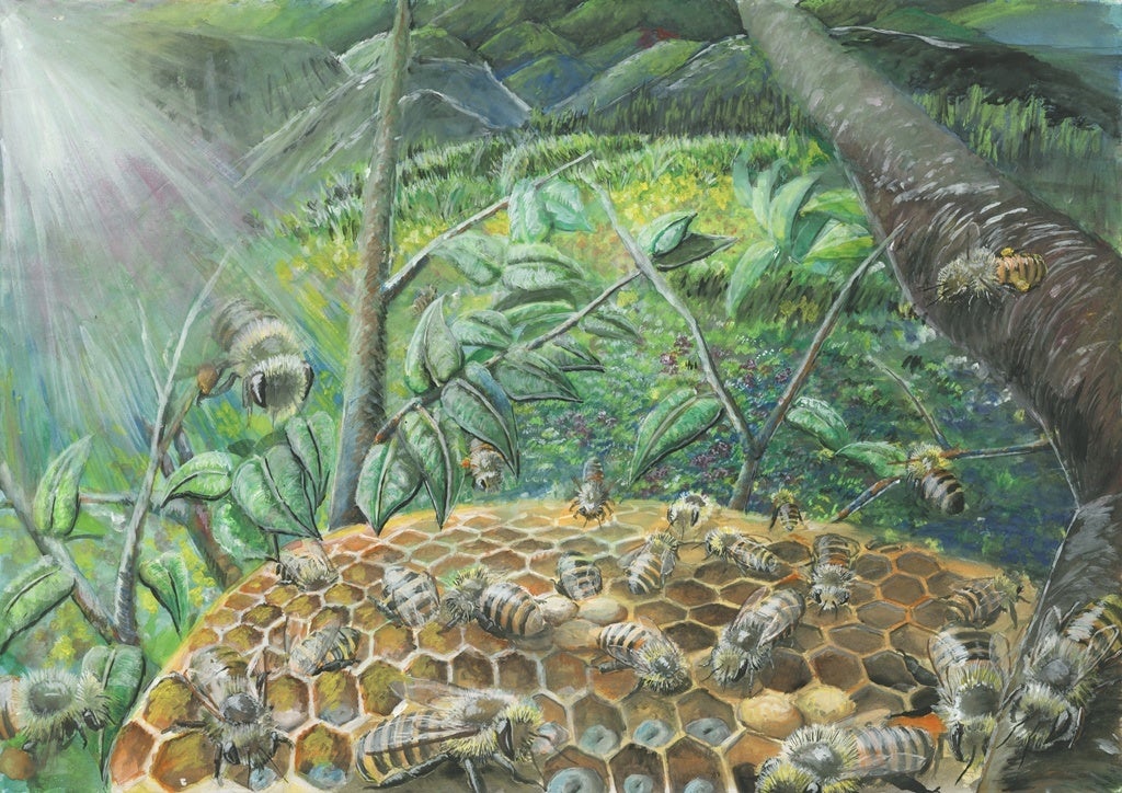 中高生の部（中学生）・上野 楓馬さん（愛知県／2年生）