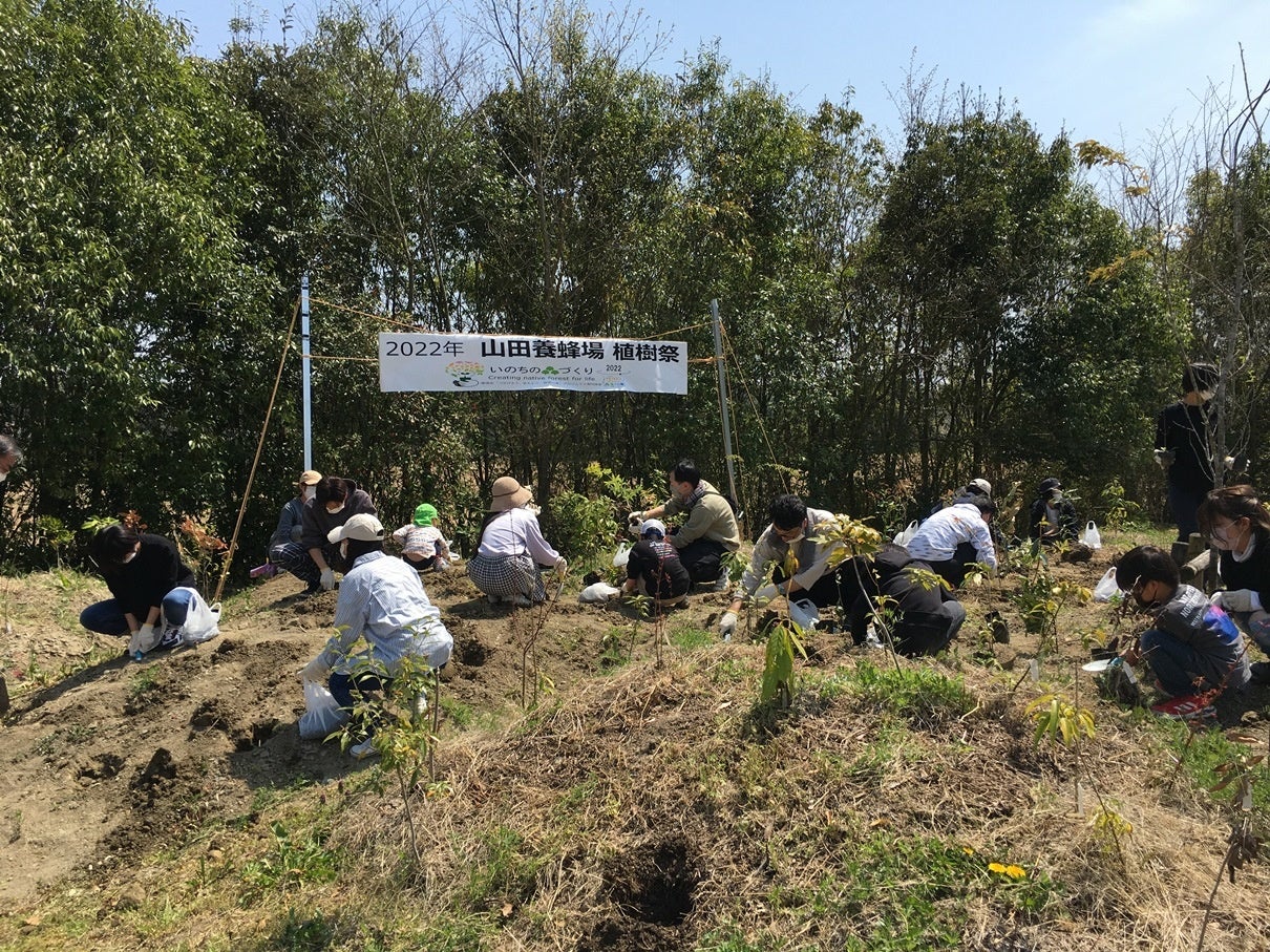 植樹祭で木を植える様子