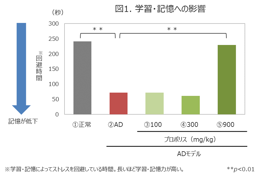 プロポリスが持つ認知機能の低下抑制作用 | 株式会社 山田養蜂場の