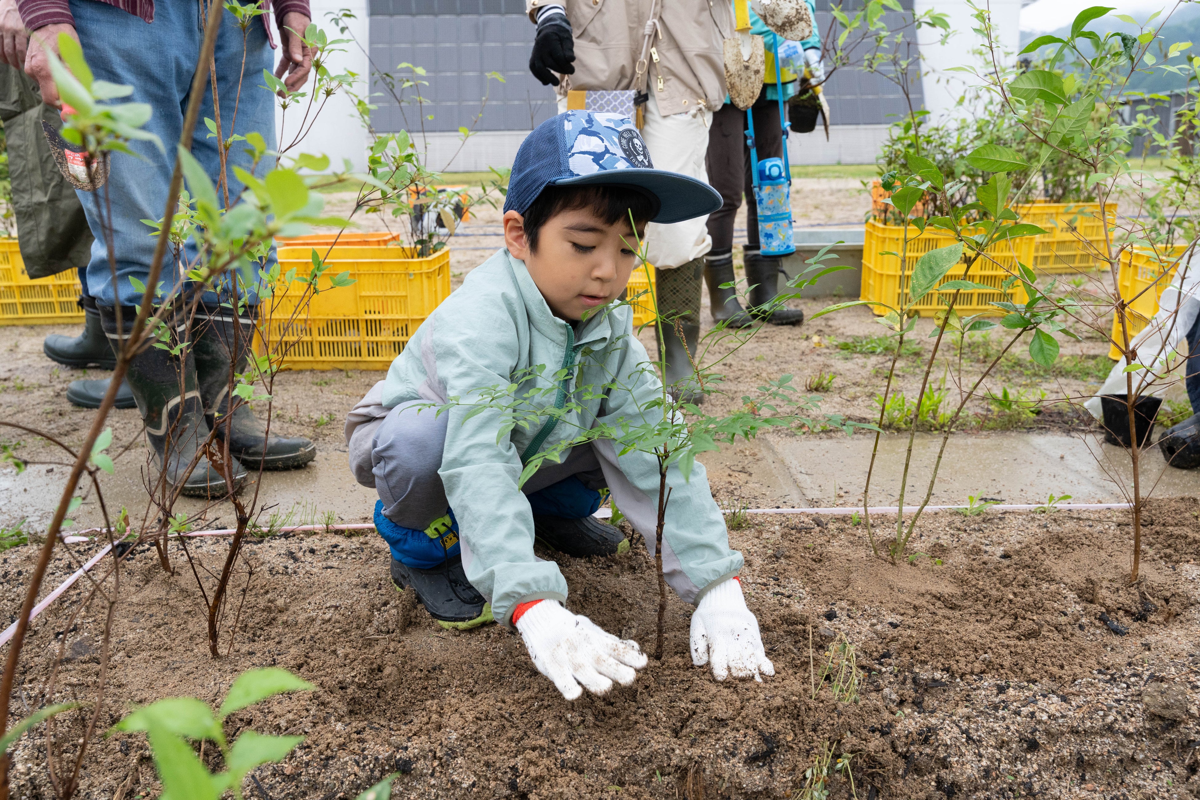 第9回 山田養蜂場 宮脇式植樹祭」 11/15(土) 岡山県鏡野町で開催