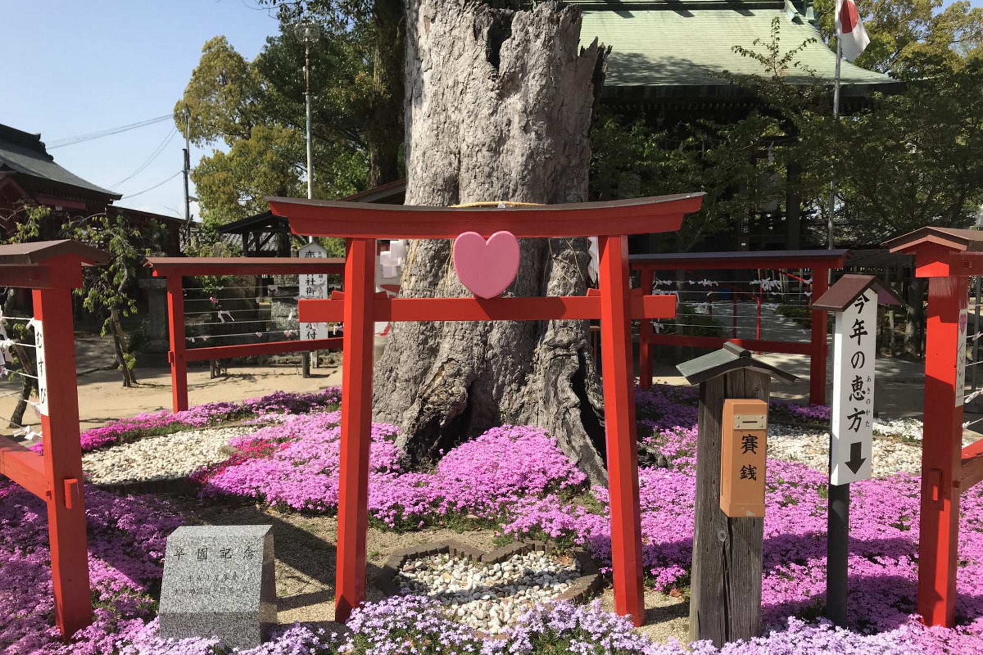 「映える！九州女子温泉旅」旅チャンネル