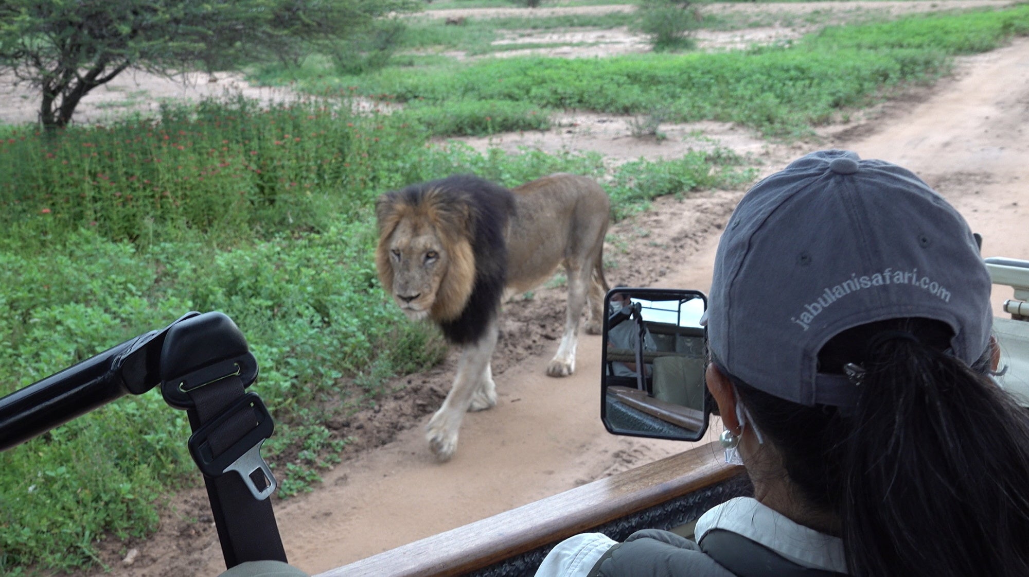 「一生に一度は絶対に訪れたい 南アフリカ ～さあ、人生最高の極上旅へ～」旅チャンネル