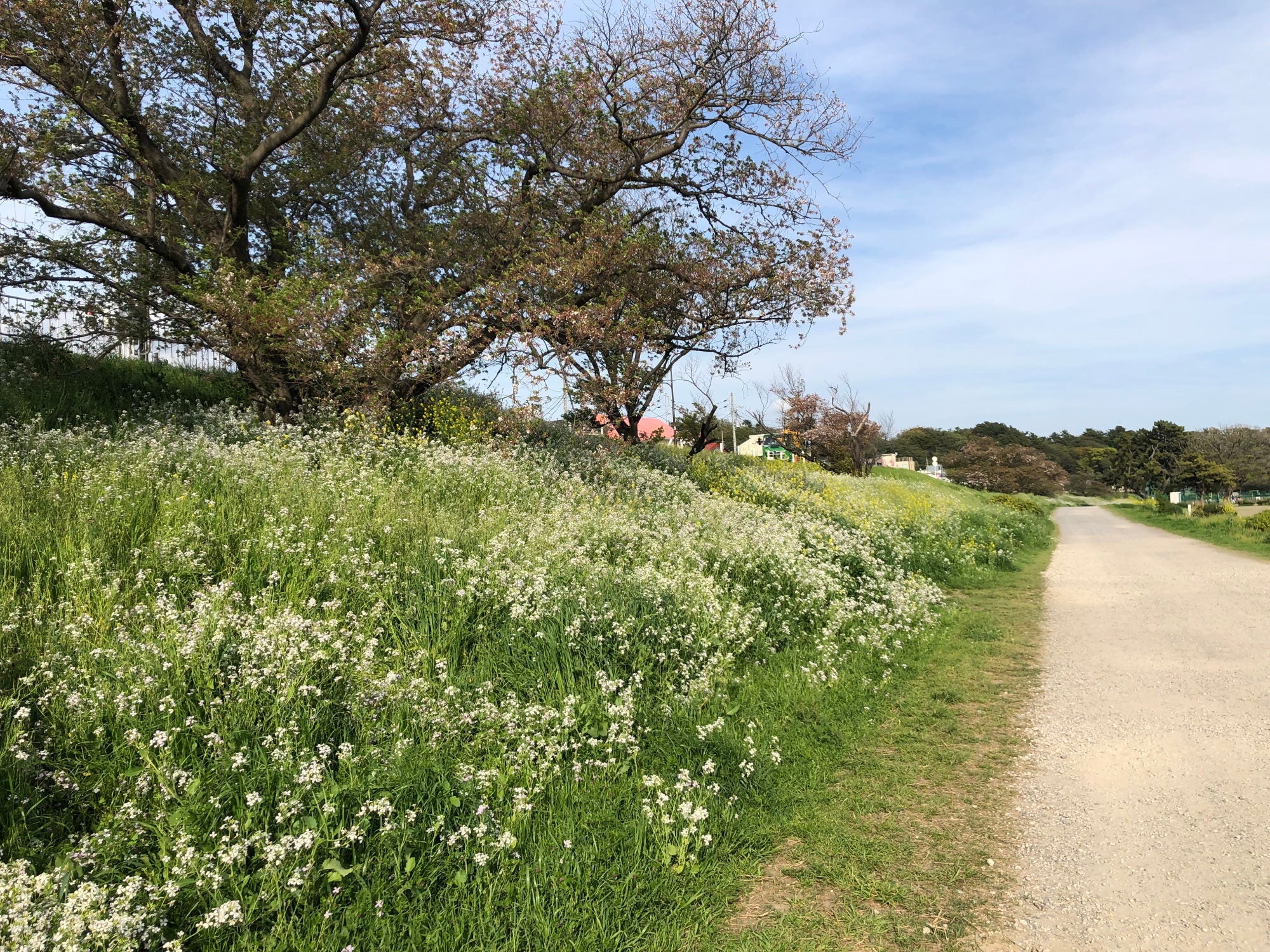 「中西圭三の朝ぶら散歩」旅チャンネル