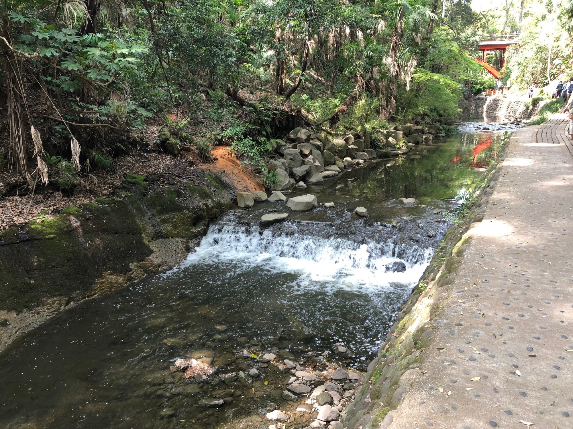 「中西圭三の朝ぶら散歩」旅チャンネル