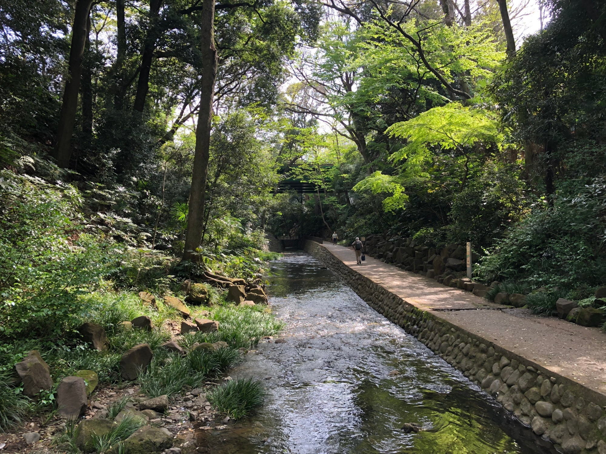 「中西圭三の朝ぶら散歩」旅チャンネル