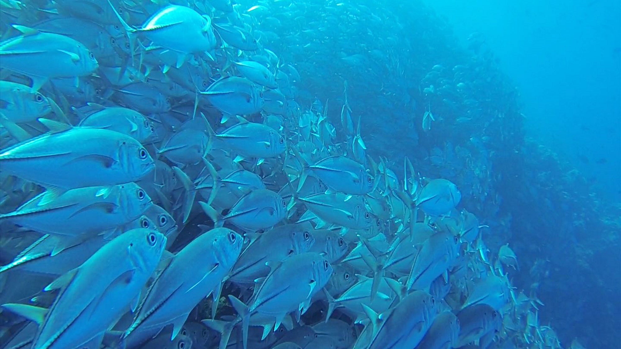 「地球絶景紀行」ⓒBS-TBS