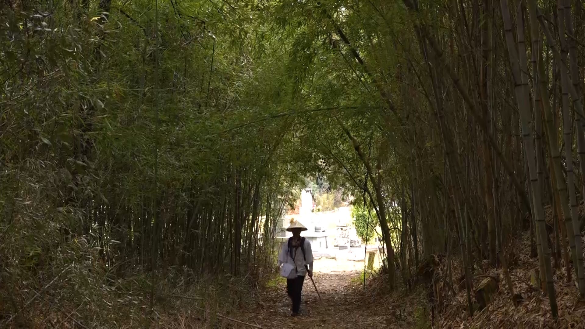 「四国歩き遍路の旅」（旅チャンネル）