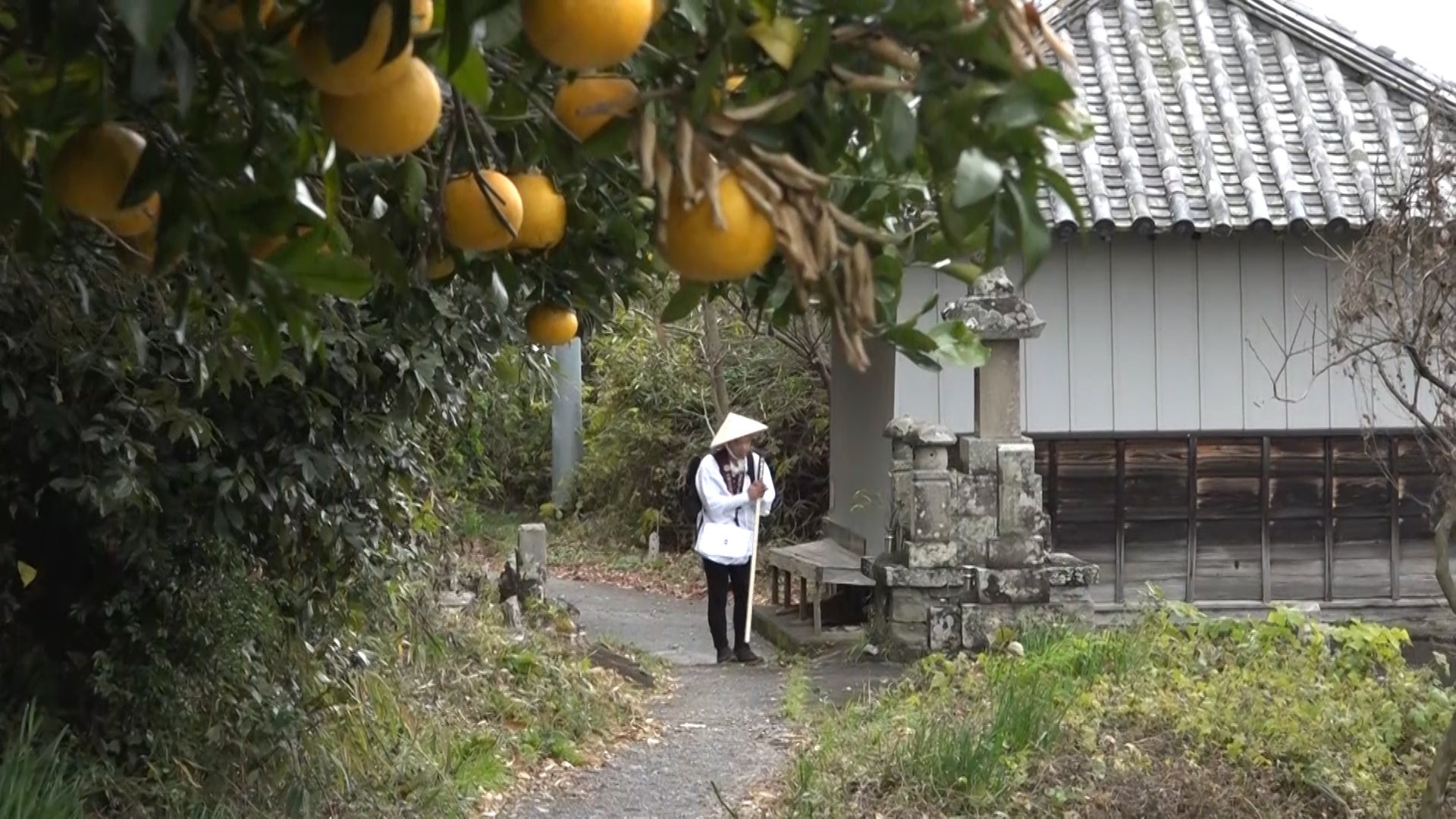 「四国歩き遍路の旅」（旅チャンネル）