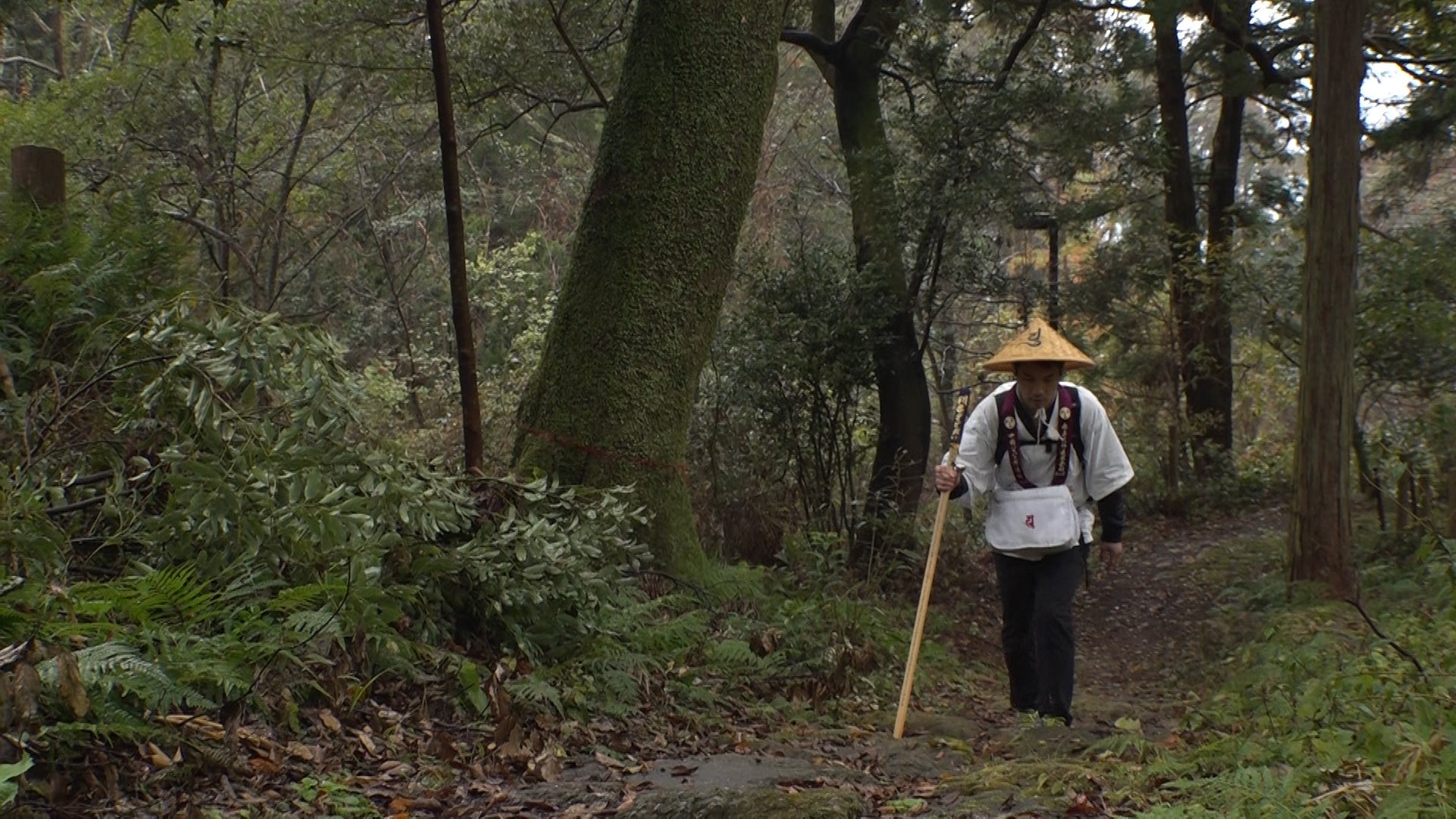 「四国歩き遍路の旅」（旅チャンネル）