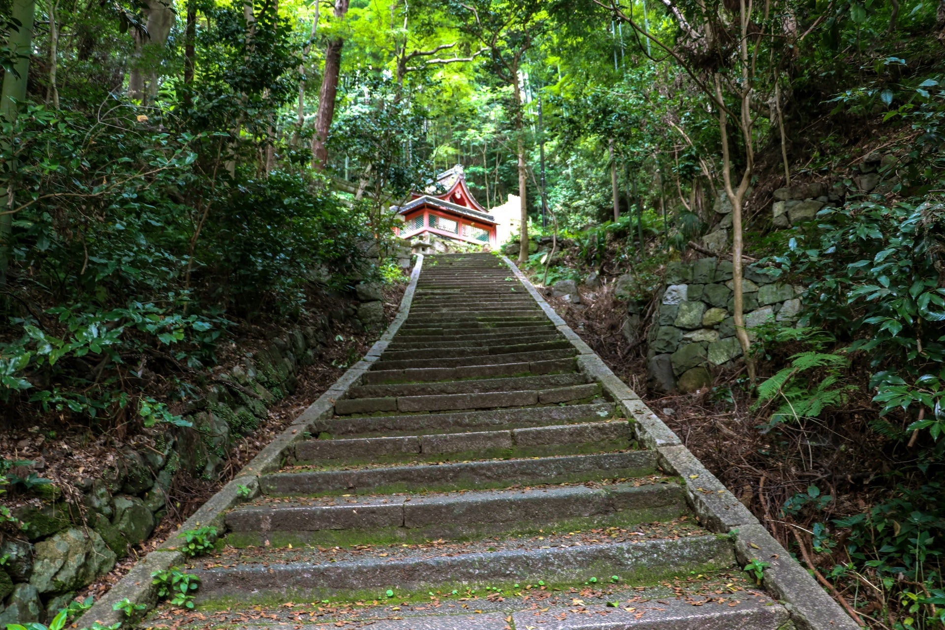 「京都よろづ観光帖 」（旅チャンネル）